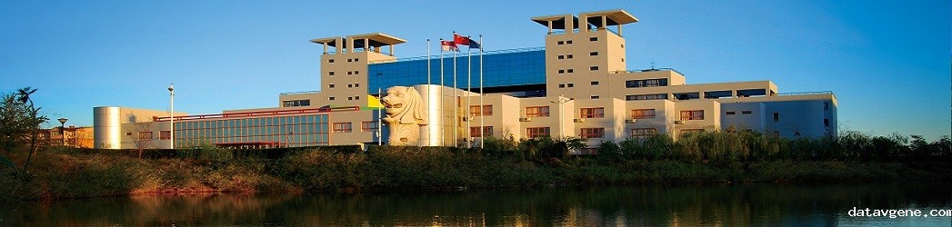 学院风景